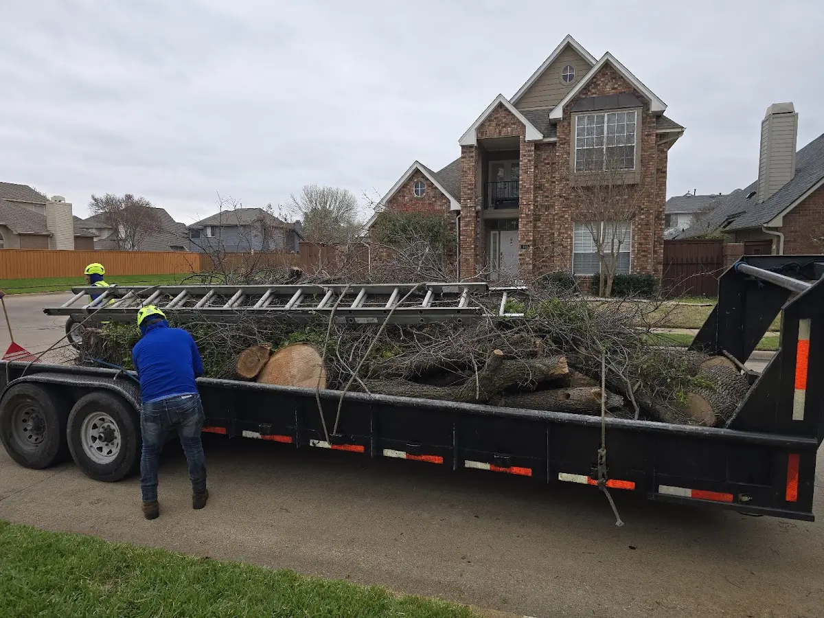Expert Lot Clearing with proper safety equipment in Dearing